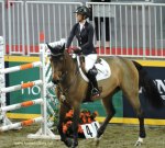Amy Millar Royal Winter Fair Horse Show 2017