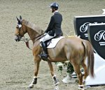 Francois Lamontagne Royal Winter Fair Horse Show 2017