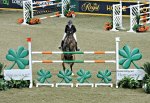 Nicole Walker Royal Winter Fair Horse Show 2017