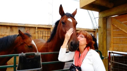kissing a horse on horsetrotting.net