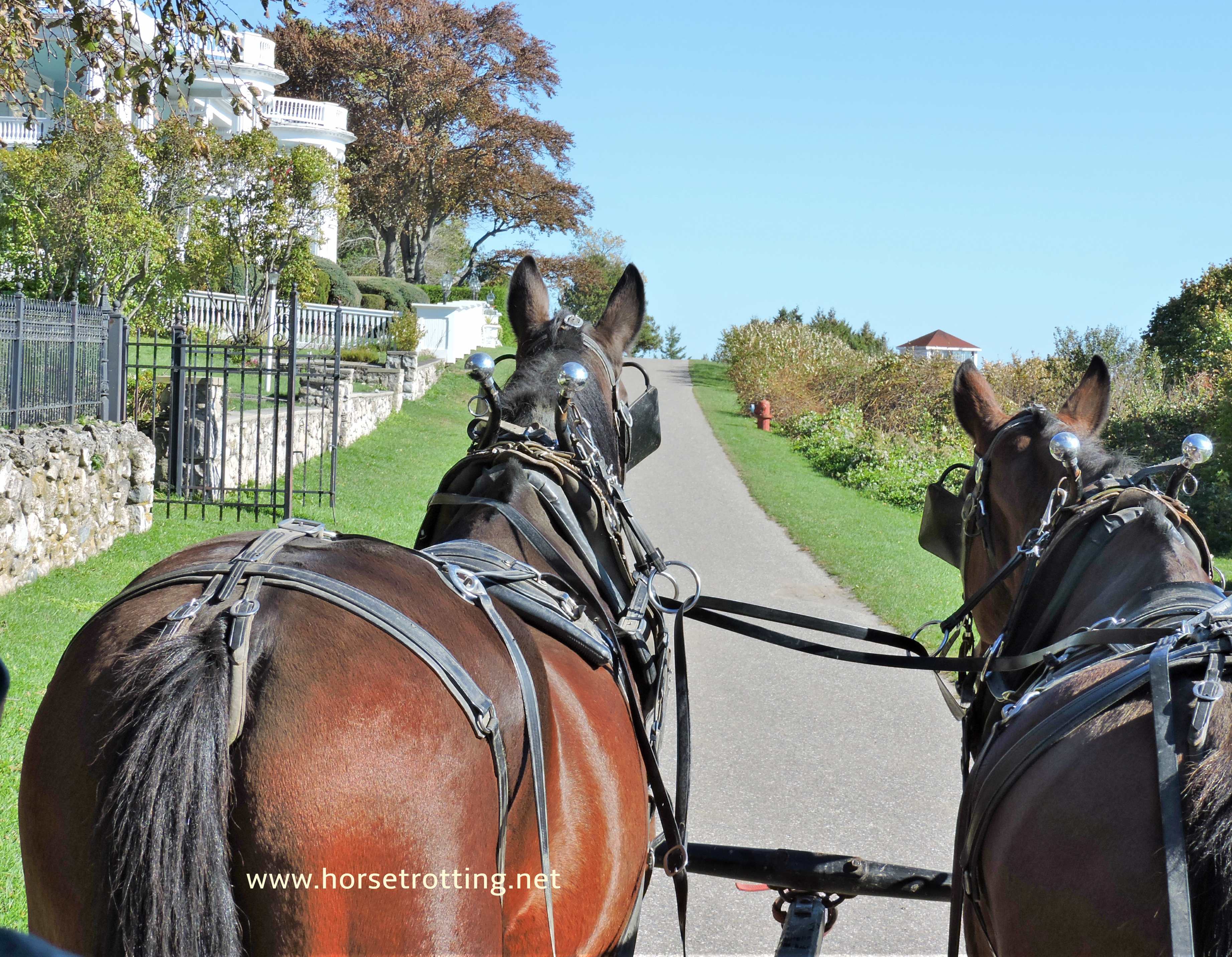 carriage horses of Mackinac Island, Michigan www.horsetrotting.net