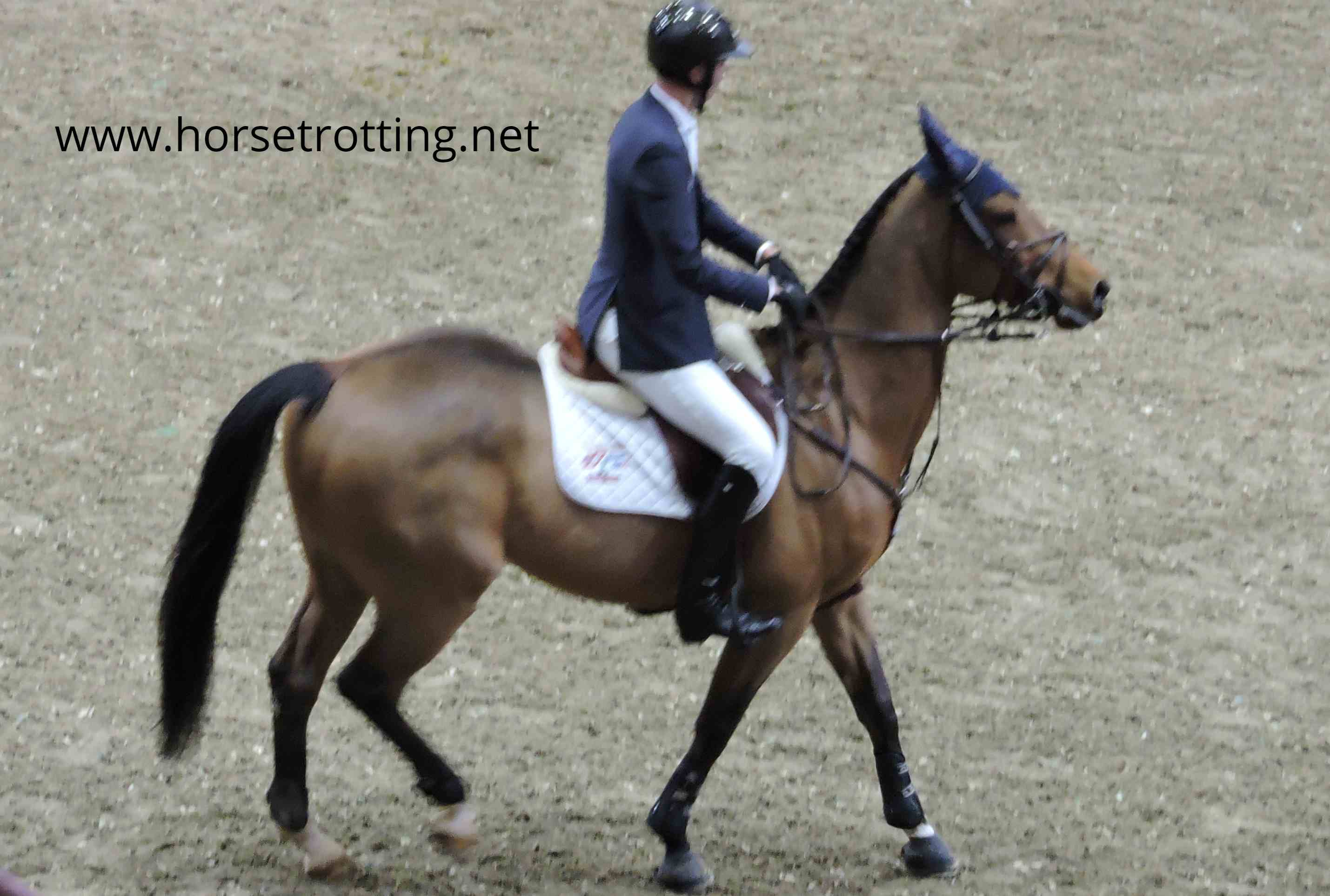 Canadian Jumping Competition Royal Winter Fair 2018