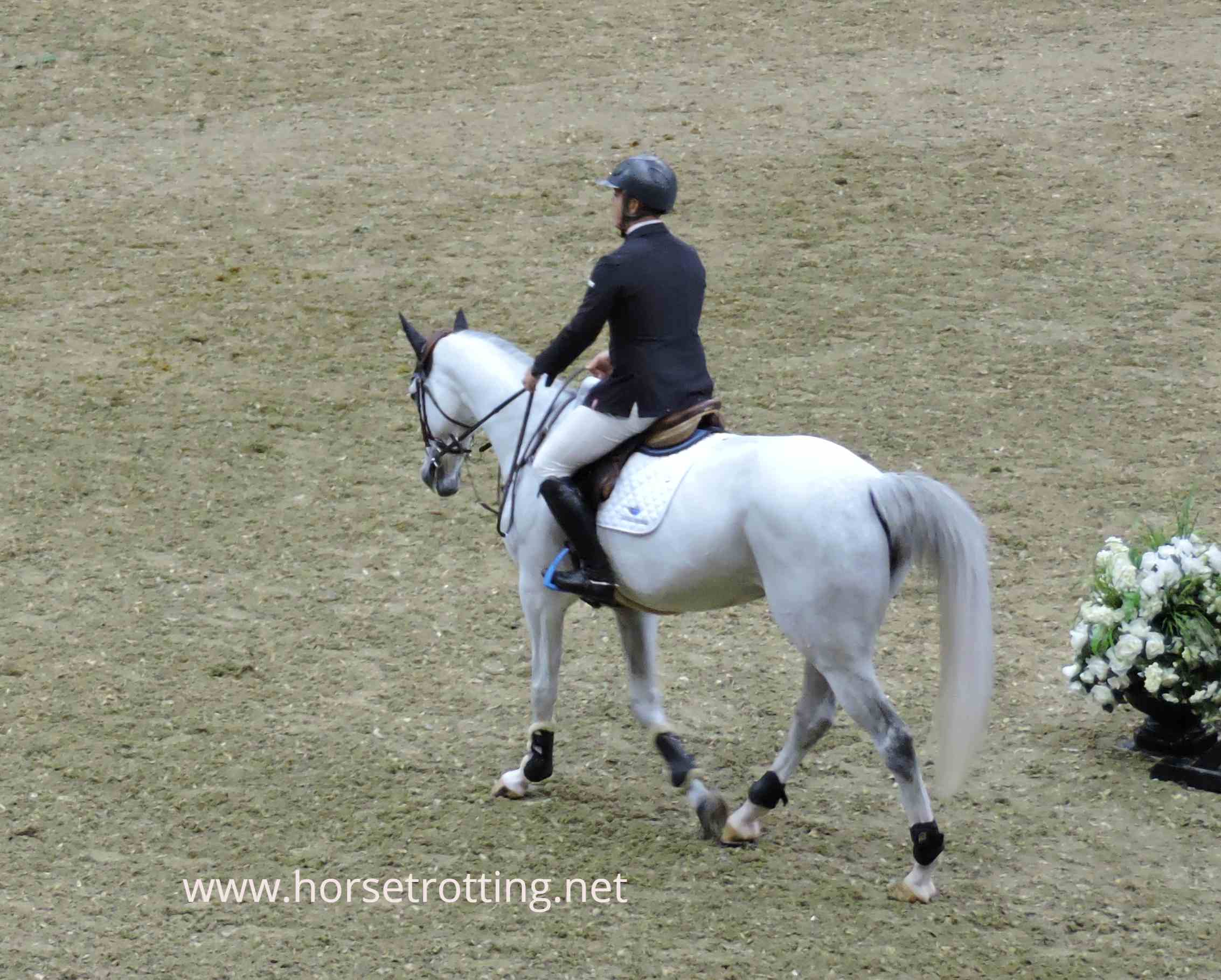 Canadian Jumping Competition Royal Winter Fair 2018