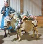 Can-Am All Breeds Equine Expo 2019 donkey www.horsetrotting.net