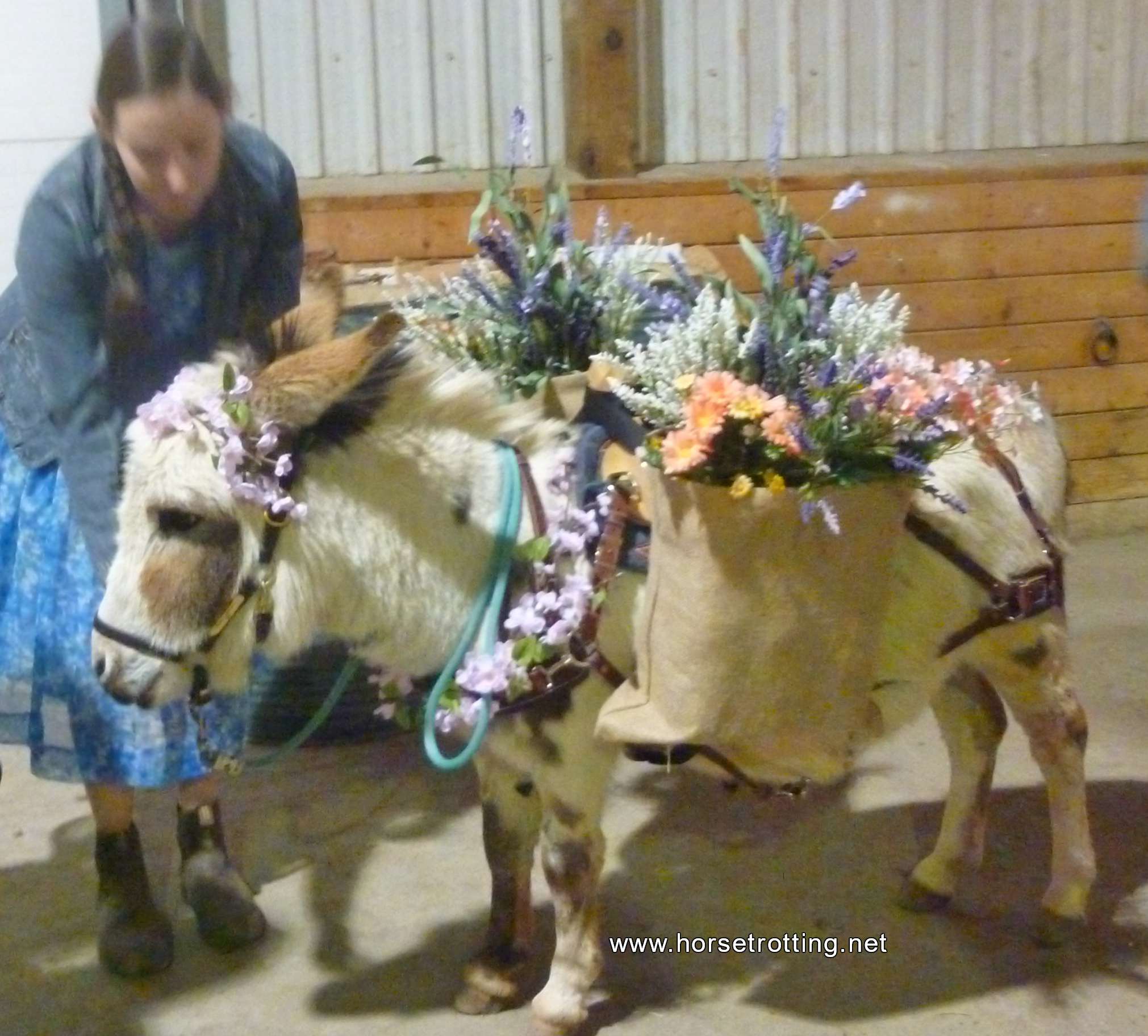 Can-Am All Breeds Equine Expo 2019 horse www.horsetrotting.net