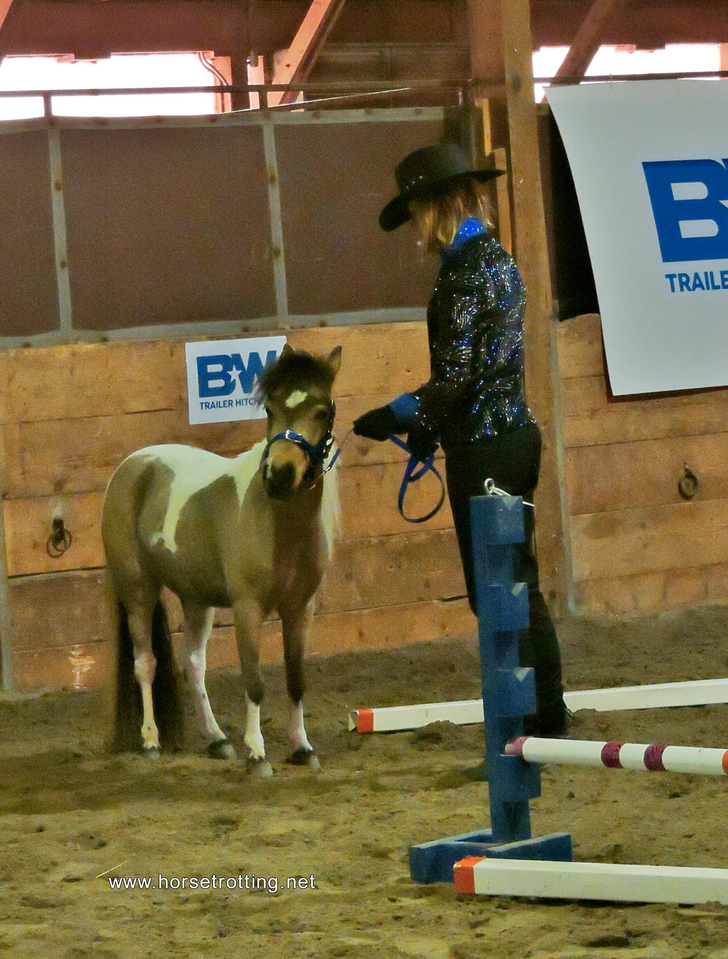 Can-Am All Breeds Equine Expo 2019 mini horse www.horsetrotting.net