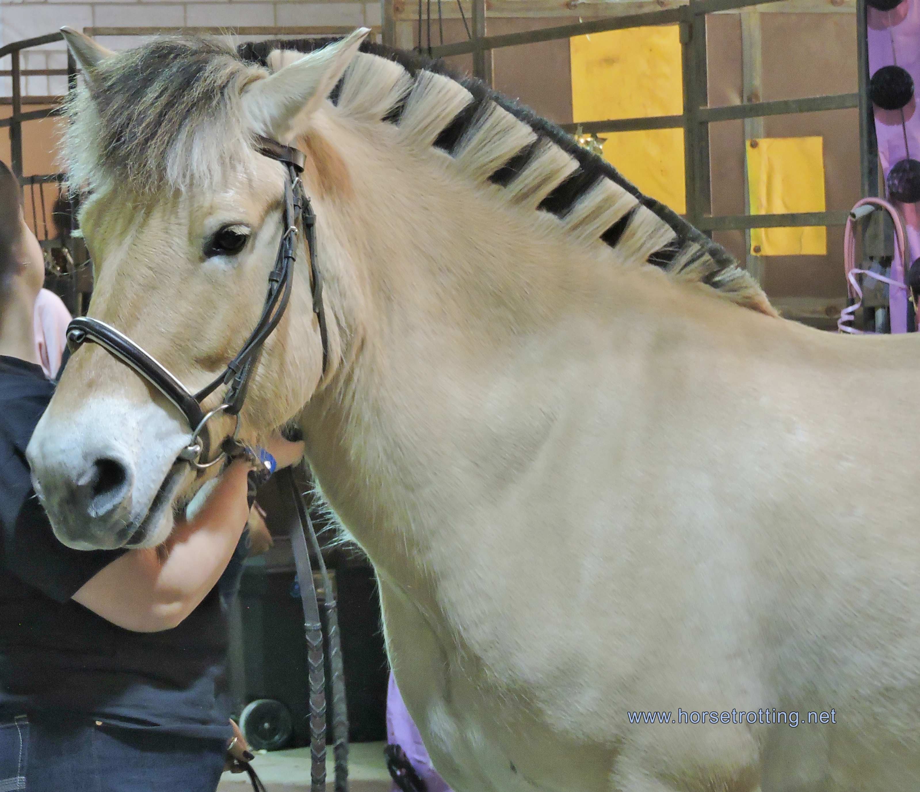 Can-Am All Breeds Equine Expo 2019 horse www.horsetrotting.net