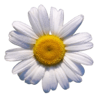 tumblr_mijfiscW2Y1s4vgzro1_500