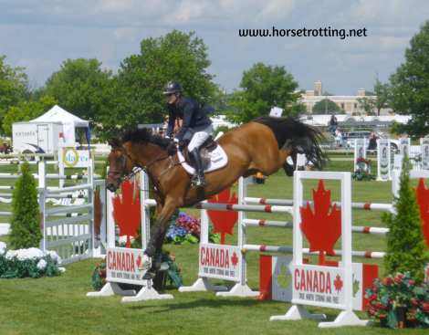 ottawa horse smith 2