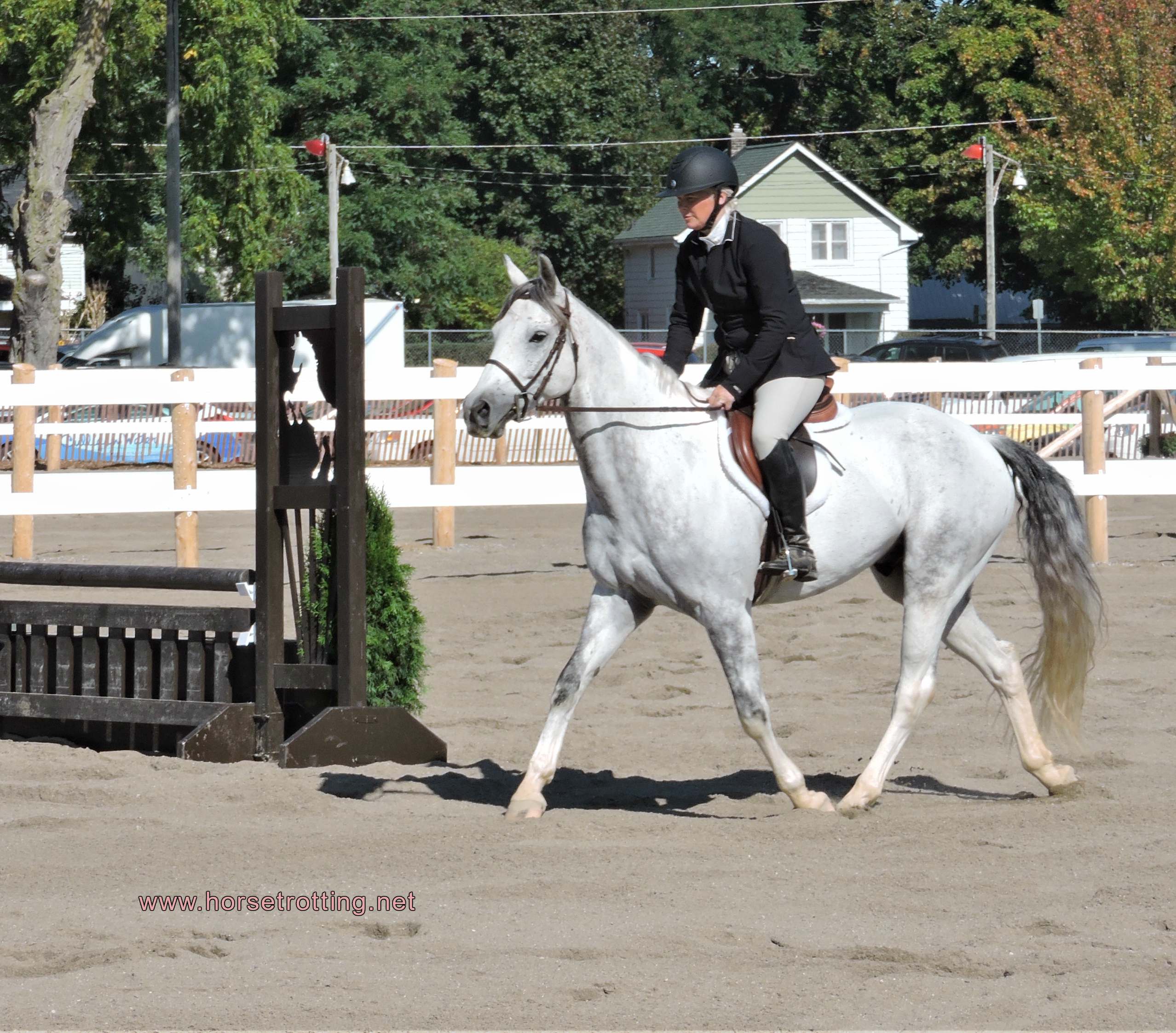 jumping competition with horses at norfolk county fair 2019