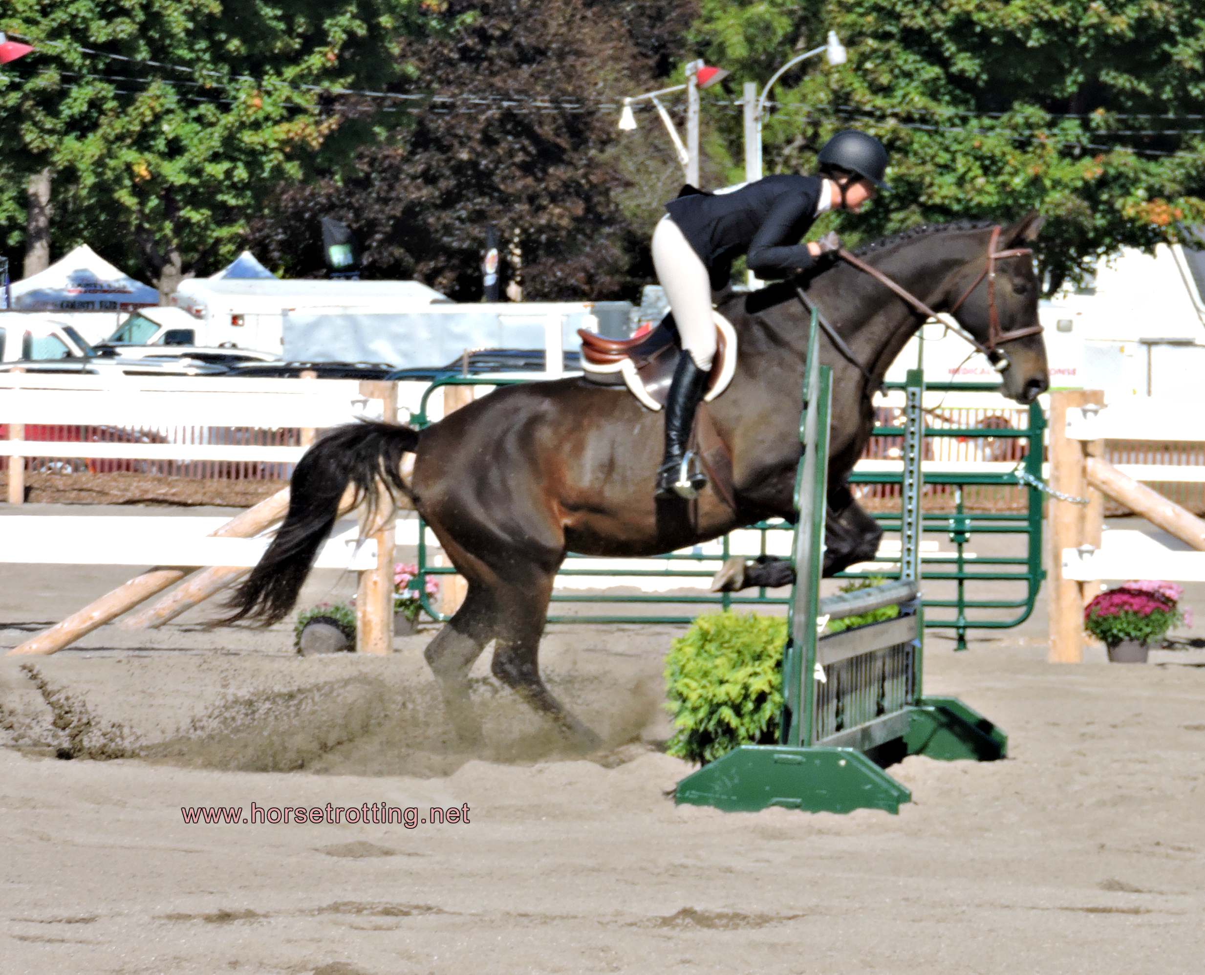 jumping competition with horses at norfolk county fair 2019