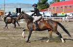 equestrian riding competition with horses at norfolk county fair 2019