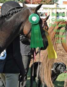 equestrian riding competition with horses at norfolk county fair 2019